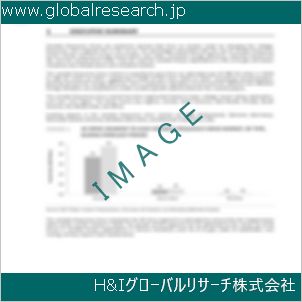グローバルリサーチ調査資料のイメージ